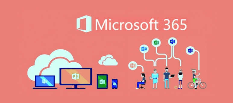 MS 365